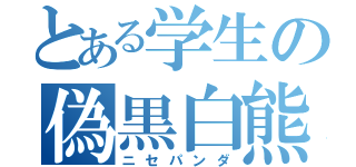 とある学生の偽黒白熊（ニセパンダ）