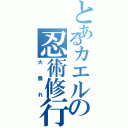 とあるカエルの忍術修行（大暴れ）