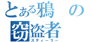 とある鴉の窃盗者（スティーラー）