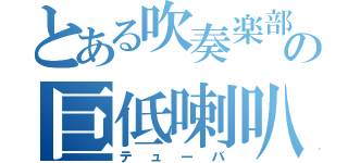 とある吹奏楽部の巨低喇叭（テューバ）