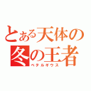 とある天体の冬の王者（ベテルギウス）