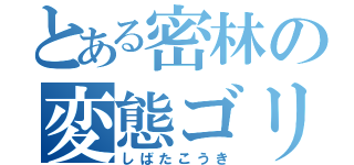 とある密林の変態ゴリラ（しばたこうき）