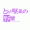 とある堅系の野蠻（インデックス）