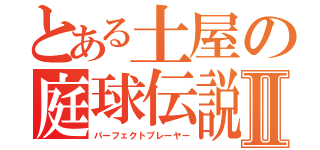 とある土屋の庭球伝説Ⅱ（パーフェクトプレーヤー）