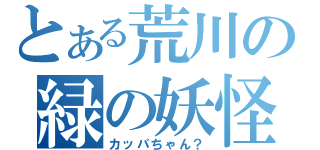 とある荒川の緑の妖怪（カッパちゃん？）