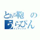 とある鞄のうらぴん（インデックス）