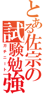 とある佐宗の試験勉強（ガチニート）