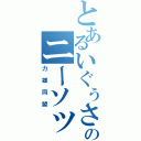 とあるいぐぅさんのニーソックス（力雄同盟）