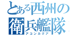 とある西州の衛兵艦隊（アコンカグア）