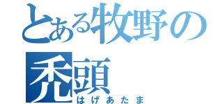 とある牧野の禿頭（はげあたま）