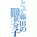 とある藤田の籠状分子（ポリマー）