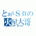 とあるＳＢの火星大哥（无意间堕入地球）