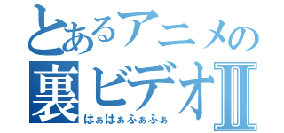 とあるアニメの裏ビデオⅡ（はぁはぁふぁふぁ）