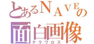 とあるＮＡＶＥＲの面白画像（テラワロス）