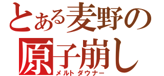 とある麦野の原子崩し（メルトダウナ－）