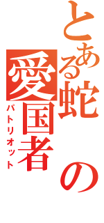 とある蛇の愛国者（パトリオット）