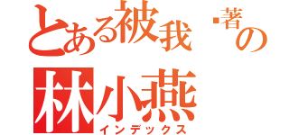 とある被我耍著玩の林小燕（インデックス）