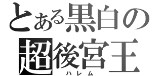 とある黒白の超後宮王（  ハ レ ム  ）