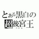 とある黒白の超後宮王（  ハ レ ム  ）