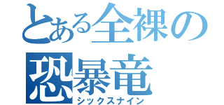 とある全裸の恐暴竜（シックスナイン）