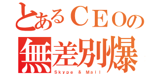 とあるＣＥＯの無差別爆撃（Ｓｋｙｐｅ ＆ Ｍａｉｌ）