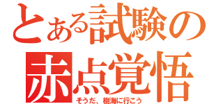 とある試験の赤点覚悟（そうだ、樹海に行こう）