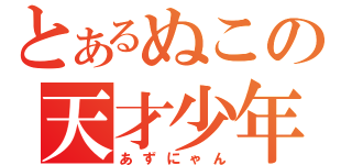 とあるぬこの天才少年（あずにゃん）