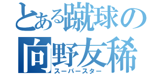 とある蹴球の向野友稀（スーパースター）