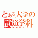 とある大学の武道学科（マーシャルアーツ）