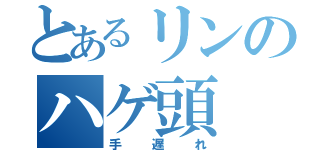 とあるリンのハゲ頭（手遅れ）