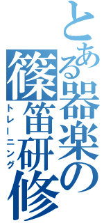 とある器楽の篠笛研修（トレーニング）