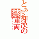 とある痴漢の禁車両（テリトリー）