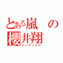 とある嵐の櫻井翔（インデックス）