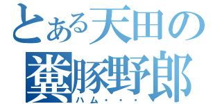 とある天田の糞豚野郎（ハム・・・）