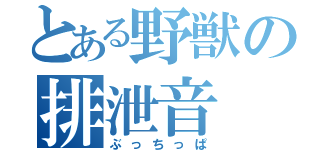 とある野獣の排泄音（ぶっちっぱ）