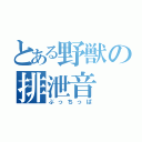 とある野獣の排泄音（ぶっちっぱ）