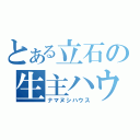 とある立石の生主ハウス（ナマヌシハウス）