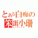 とある白痴の笨蛋小珊（インデックス）