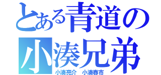 とある青道の小湊兄弟（小湊亮介　小湊春市）