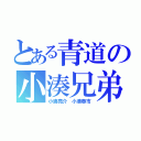 とある青道の小湊兄弟（小湊亮介　小湊春市）