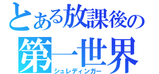 とある放課後の第一世界（シュレディンガー）