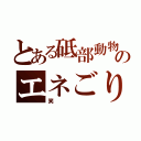 とある砥部動物園のエネごり（笑）