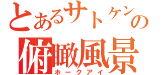 とあるサトケンの俯瞰風景（ホークアイ）