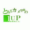 とあるカメ型敵の１ＵＰ（残機増えた）