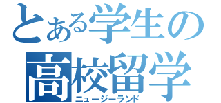 とある学生の高校留学（ニュージーランド）