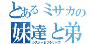 とあるミサカの妹達と弟達（シスター＆ブラザーズ）