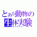 とある動物の生体実験（コワルスキー）