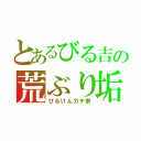 とあるびる吉の荒ぶり垢（びるけんガチ勢）