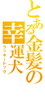 とある金髪の幸運犬（ラッキードッグ）