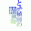 とある植田の精細胞（スペルマ）